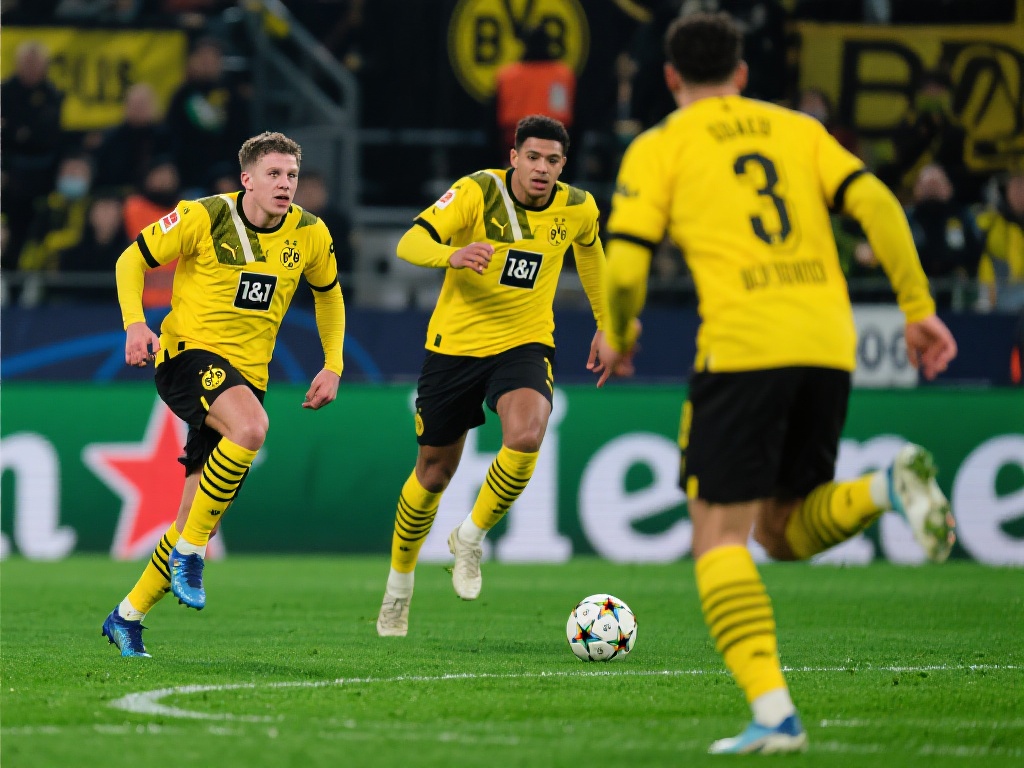 能真正丰富 能真正丰富