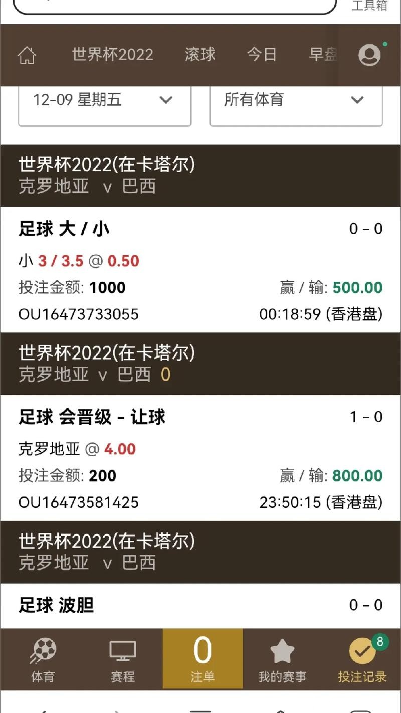 世界杯安全下注平台：保障资金安全攻略